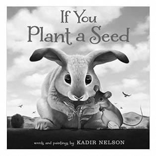 If You Plant a Seed Literature Guide | Learning to Give